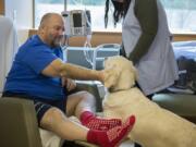 Duane Harper of Vancouver shares a moment with therapy dog Willow, a 2-year-old golden retriever, at Legacy Salmon Creek Medical Center. Petting animals can lower blood pressure.