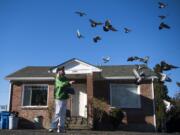 Duke Wager, 96, of Vancouver feeds pigeons outside his home in Vancouver on Monday. Wager started raising pigeons with his dad when he was 10 years old, and carried on the hobby for more than 60 years. He even participated in pigeon racing for a time in his later years.