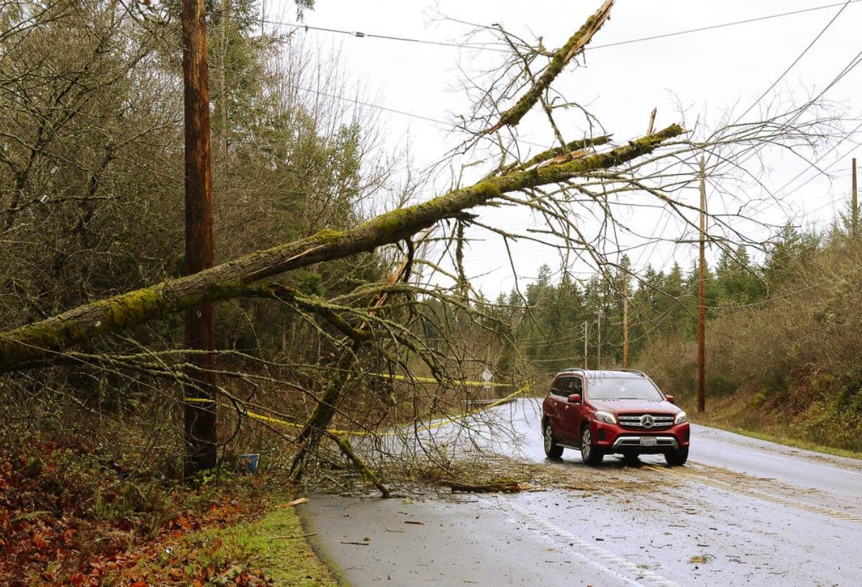 Caution tape marks a nearly downed tree next to Old Pacific Highway near Nisqually, Wash., Sunday, Jan. 6, 2019, as Puget Sound Energy reported more than 200,000 customers were without power throughout its service area about 6 a.m. According to PSE's outage map, areas in South Sound most affected by the storm include east Pierce County, northeast Thurston County and south Thurston County.