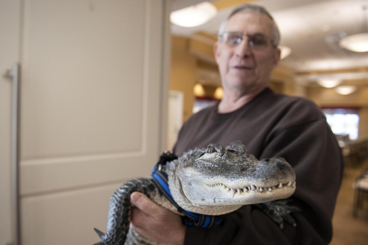 Joie Henney holds up Wally, a 4-foot-long emotional support alligator, at the SpiriTrust Lutheran Village in York, Pa. Henney says he received approval from his doctor to use Wally as his emotional support animal after not wanting to go on medication for depression.