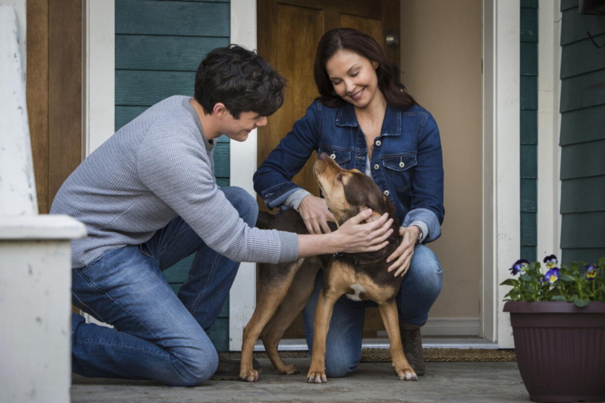 Jonah Hauer-King and Ashley Judd, with dog Shelby, portraying Bella, in a scene from “A Dog’s Way Home.