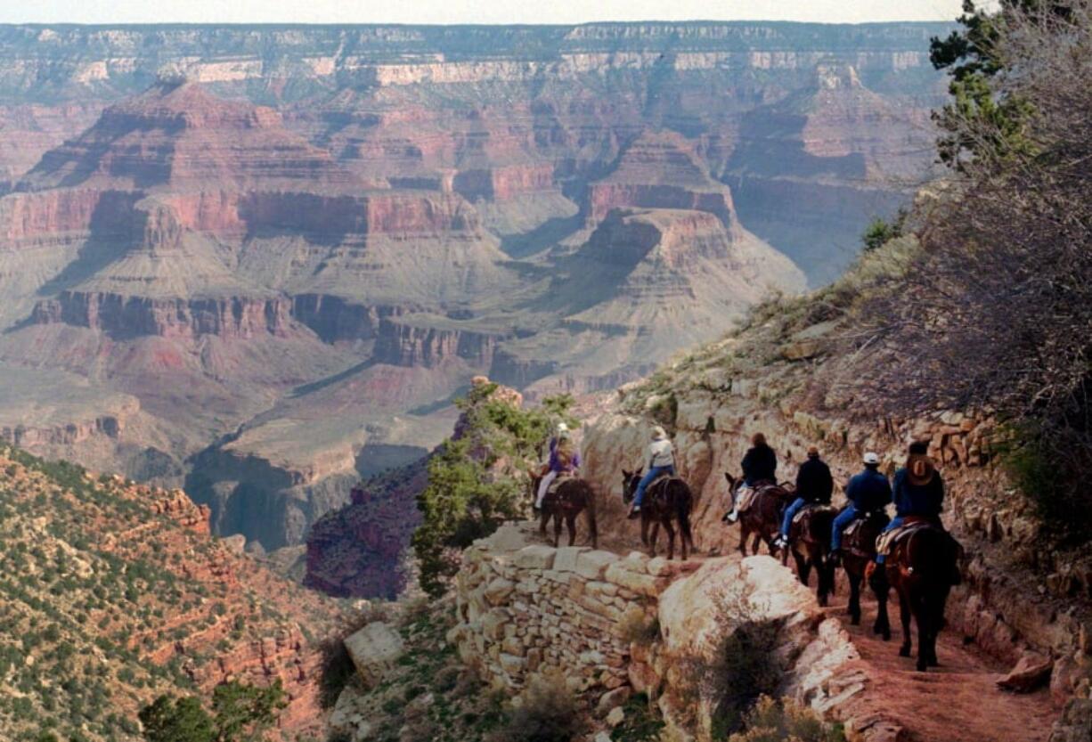 A mule train winds its way down the Bright Angel trail at Grand Canyon National Park, Ariz., in March 1996. The Grand Canyon is celebrating 100 years as a national park in 2019. President Woodrow Wilson made the designation in 1919. But Teddy Roosevelt is credited for preserving the natural wonder as a game reserve and a national monument.