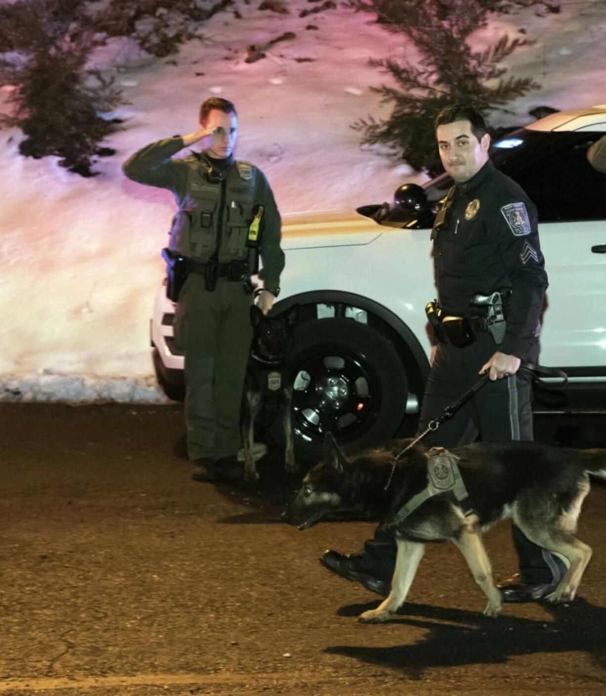 This photo provided by Newberry Township Police shows Newberry Township Police Sgt. Chris Martinez and his K9 partner Tazer being saluted before the dog is euthanized Wednesday, Jan. 23, 2019 in Etters, Pa. Newberry Township Police Chief Steven Lutz says 9-year-old German Shephard Tazer didn’t seem well after his last shift on Saturday night. Sgt. Chris Martinez, his handler, took him to the vet on Tuesday and learned Tazer had bone cancer in both hind legs, and one of the legs was broken.