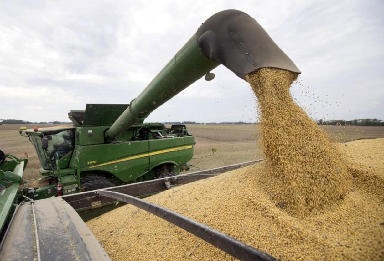 FILE - In this Friday, Sept. 21, 2018, file photo, soybeans are offloaded from a combine during the harvest in Brownsburg, Ind. China’s government says American envoys will visit Beijing on Monday for talks over a tariff fight that threatens to hobble global economic growth.