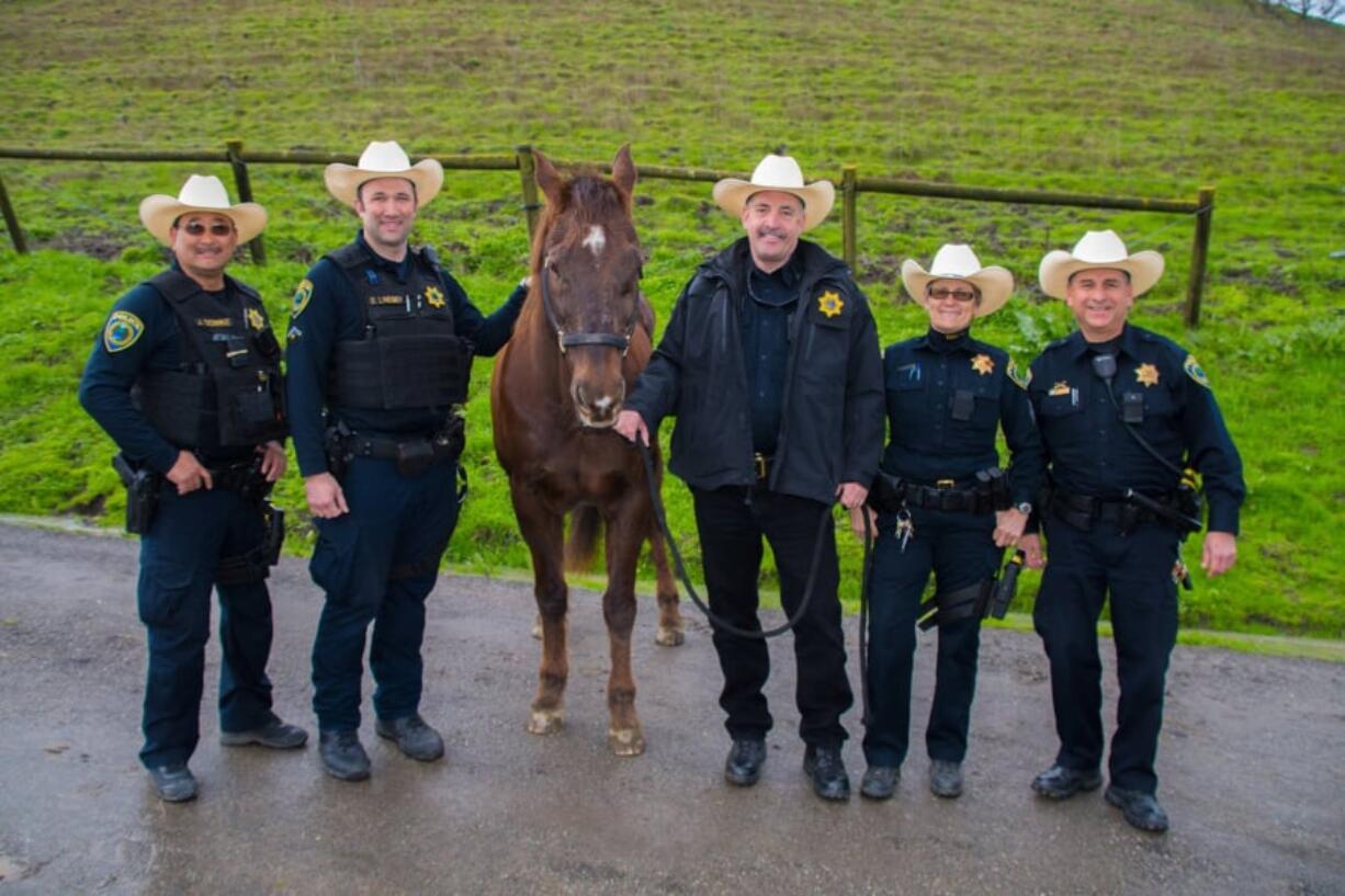 Deacon, a quarter horse that spent 19 years with the East Bay Regional District’s Mounted Unit, is headed for a life of leisure at a horse retirement ranch in Davis.