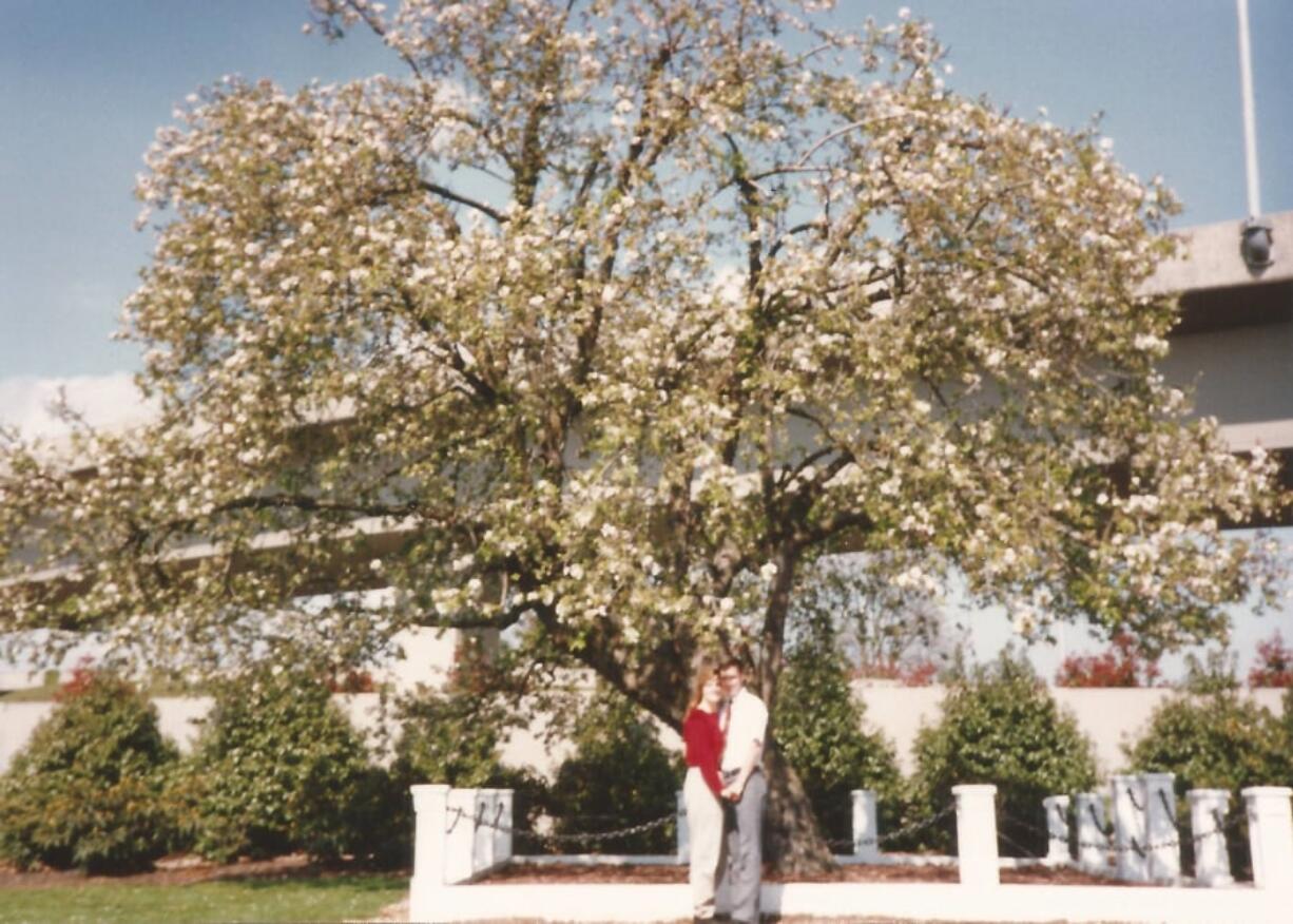 Jackie Smith and Bob Stewart have their picture taken in a day-later re-enactment of his proposal, and her acceptance, in April 1991 under Vancouver's Old Apple Tree. People and the tree all look a little different now, but the happy couple still visits here every year.