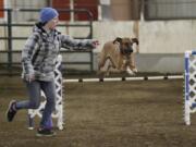 Lauren Beyer and her Rhodesian Ridgeback, Sierra, of Portland compete at the Mt. Hood Doberman dog agility trials at the Clark County Event Center at the Fairgrounds.