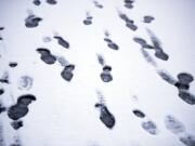 Footprints are seen in a small accumulation of snow in Cascade Park on Tuesday morning, Feb. 5, 2019.