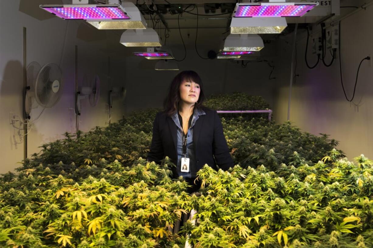 Wendy Hull with Fairwinds Cannabis stands in one of the company’s flower rooms Tuesday afternoon in Vancouver. Hull said her company faces uncertainty because of a new policy from the state Liquor and Cannabis Board that requires cannabis companies to put even less information on their products’ packaging. At top, CBD products are seen at Fairwinds Cannabis. CBD, or cannabidiol, is the nonpsychoactive compound in marijuana. Several local legislators are trying to address the packaging issue.