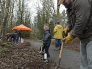 Mike Bach and his son Evan, 6, plant Indian plum trees along a path in Brookhaven Park in Battle Ground. The park is the site of a Lower Columbia Estuary Partnership program to plant thousands of native trees. At top right, McKenzie Miller, an LCEP environmental educator, readies swamp rose for planting.