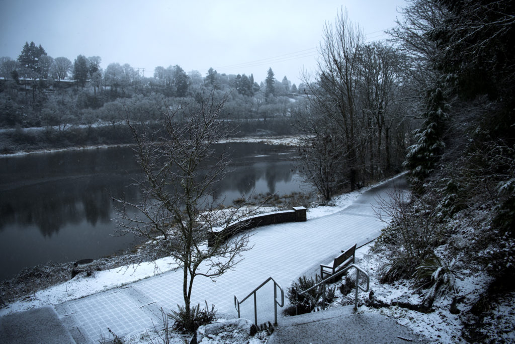 Snow gathers on Burnt Bridge Creek Trail in Vancouver on Monday morning, Feb. 25, 2019.