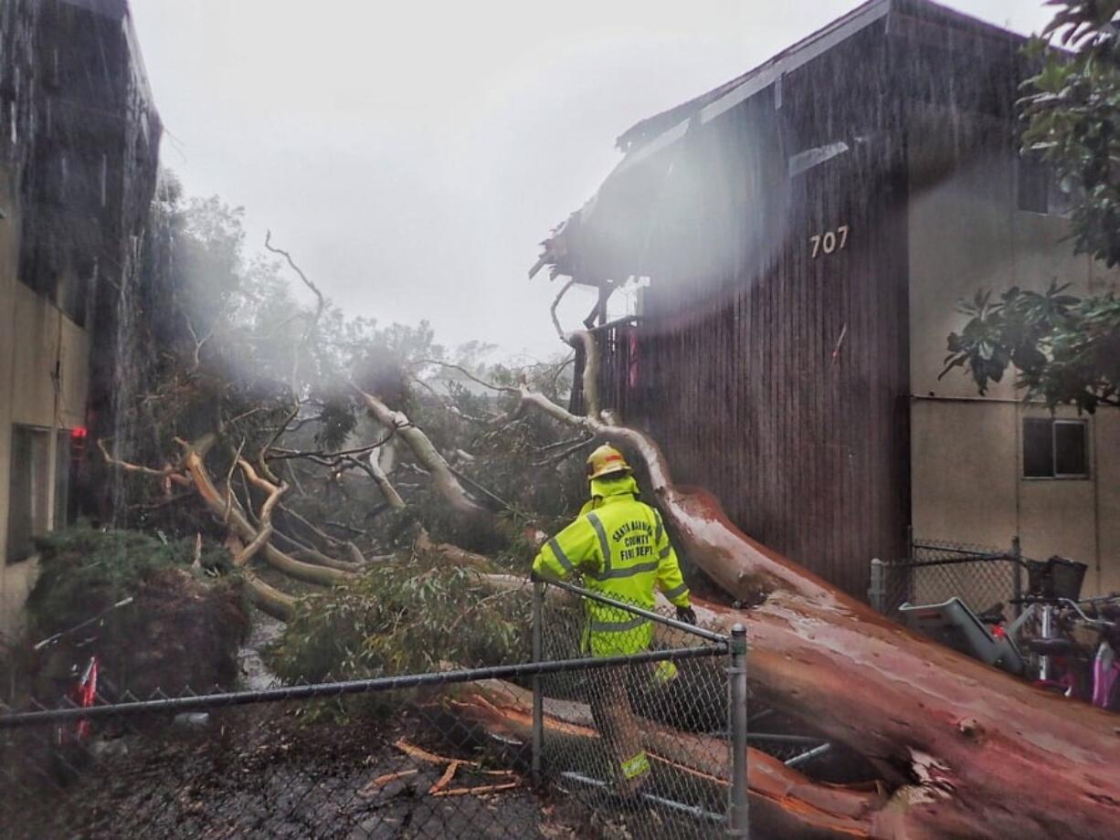 In this Saturday, Feb. 2, 2019, photo released by Santa Barbara County Fire, Santa Barbara County firefighters survey the scene of a large eucalyptus tree that fell into a two-story apartment complex on Bolton Walk in Goleta, Calif. Multiple trees have toppled and wires have come down throughout the county as a result of this latest storm. A wind gust in Santa Barbara County topped 80 mph (128 kph) as the storm moved south and later dropped more than a half-inch (1.27 centimeters) of rain in five minutes.