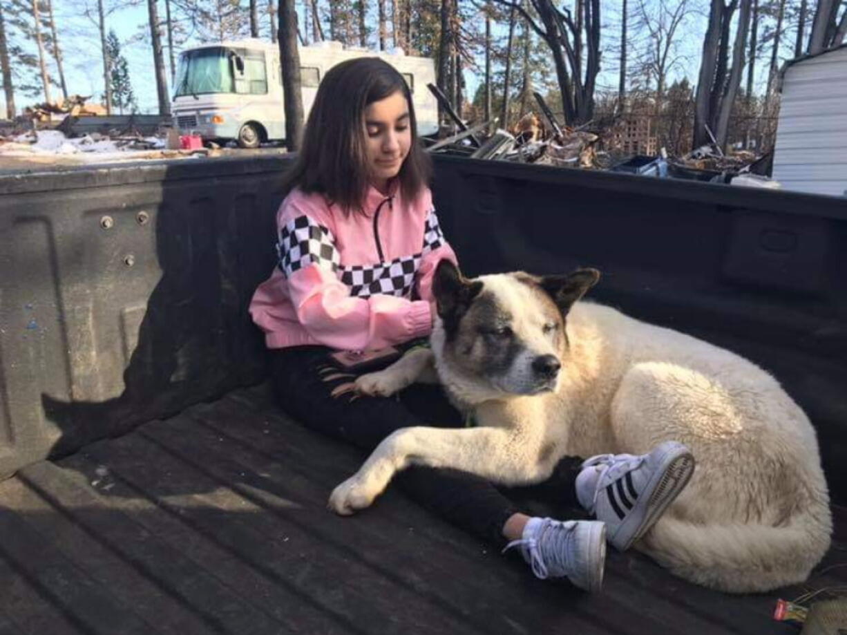 Maleah Ballejos sits with her dog Kingston on Monday in Paradise, Calif. The Akita named Kingston was reunited with his family 101 days after he jumped out of their truck as they fled a devastating Northern California wildfire.