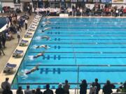 Swimmers take off in the 4A boys 100 backstroke final Saturday.