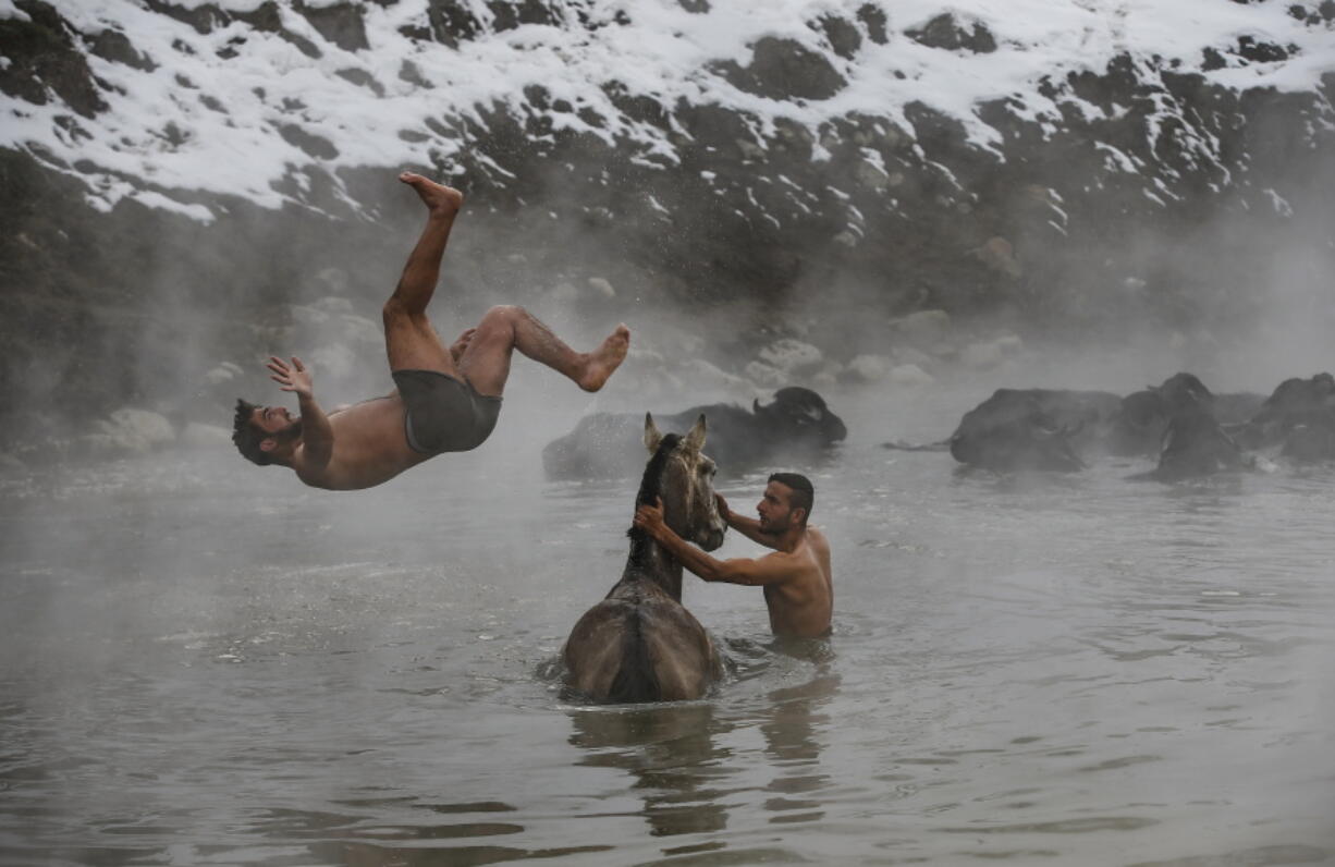 In this Thursday, Jan. 24, 2019 photo, Muhammed Toren, 18, left, and Berkan Toren, 20, enjoy a hot spring along with their water buffaloes near the village of Budakli, in the mountainous Bitlis province of southeastern Turkey. Residents of the village with some 60 homes walk hundreds of buffaloes up snow-covered roads to the geothermal springs in the winter. Villagers say the hot springs heal buffaloes’ wounds, alleviate discomfort in their breasts and make quality milk. The village’s main source of income is cheese, butter and milk from the buffaloes.