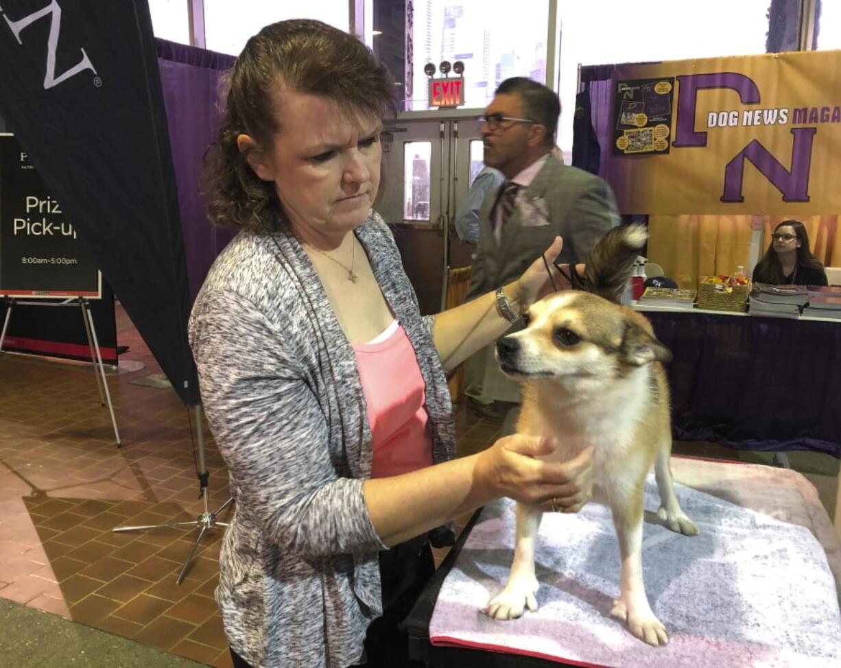 Tracy Rousseau of Franktown, Colo., pets Eva, a Norwegian lundehund, as they wait to compete at the Westminster Kennel Club dog show in New York on Monday, Feb. 11, 2019.