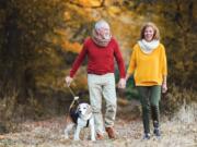 Dog walking is leading to more broken bones in older adults.