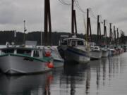 Gillnetting boats sit moored at the Port of Camas-Washougal during a previous season. As Oregon and Washington try to hammer out a policy regarding the nets on the Columbia River, both gillnetters and sports anglers remain at odds.