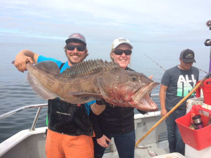 Big lings, rockfish caught during lighthouse fishing charters