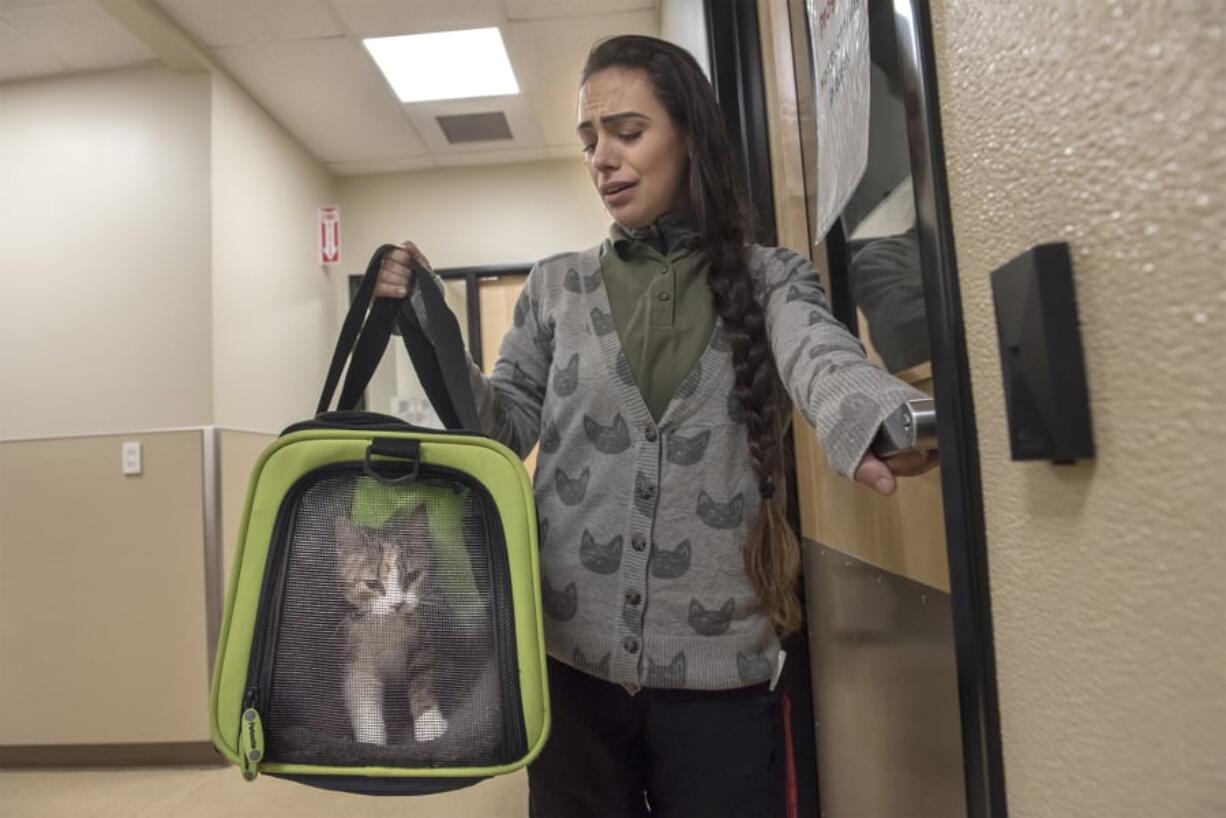 Customer Care Counselor Kristen Starr carries Cenoura, a 5-month-old kitten dropped off at the Humane Society for Southwest Washington. Starr started working at the nonprofit two years ago after initially volunteering.