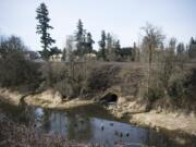 Burnt Bridge Creek forms a small estuary near where it flows through two culverts into Vancouver Lake.