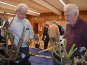 Shumway: Fort Vancouver Rose Society members Louis Rossetto, left, and Jim Swenson prune roses before they can be taken home by the winning bidders at the society’s annual auction.