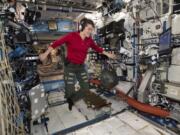 In this Jan. 18, 2019 photo made available by NASA, Flight Engineer Anne McClain looks at a laptop computer screen inside the U.S. Destiny laboratory module of the International Space Station. McClain was supposed to participate in a spacewalk Friday, March 29, 2019 with newly arrived Christina Koch. But McClain pulled herself from the lineup because there’s not enough time to get two mediums suits ready. Koch will go out with a male crewmate.