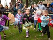 Kids rush toward the eggs at the start of the 28th Annual Easter Day Egg Hunt at Crown Park in Camas on April 21, 2019.