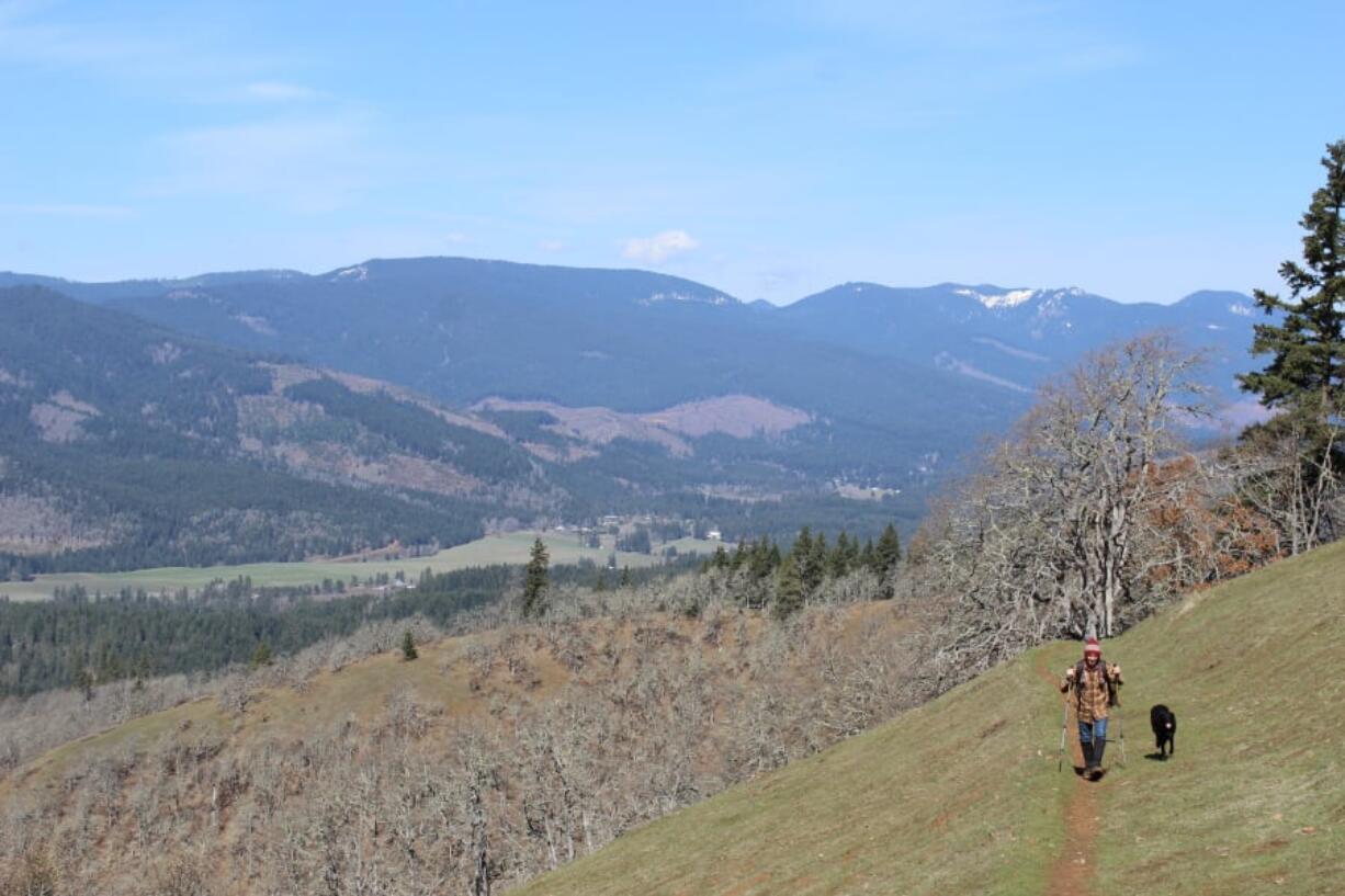 Jeff Otto hikes the upper part of the Weldon Wagon Road Trail in Klickitat County. The trail is an un-crowded alternative for hikers looking for spring wildflowers on the east side of the Cascade Mountains.