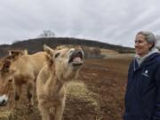 Delores Reed, a supervisory biologist, with Przewalski’s horses at the Smithsonian’s Conservation Biology Institute in Front Royal, Virginia, which works to save endangered species, including these wild horses, from extinction.