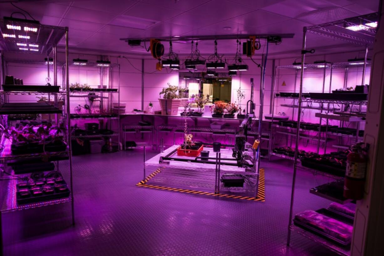 Plants grow inside of Mars Base 1 at Kennedy Space Center on March 13, 2019.