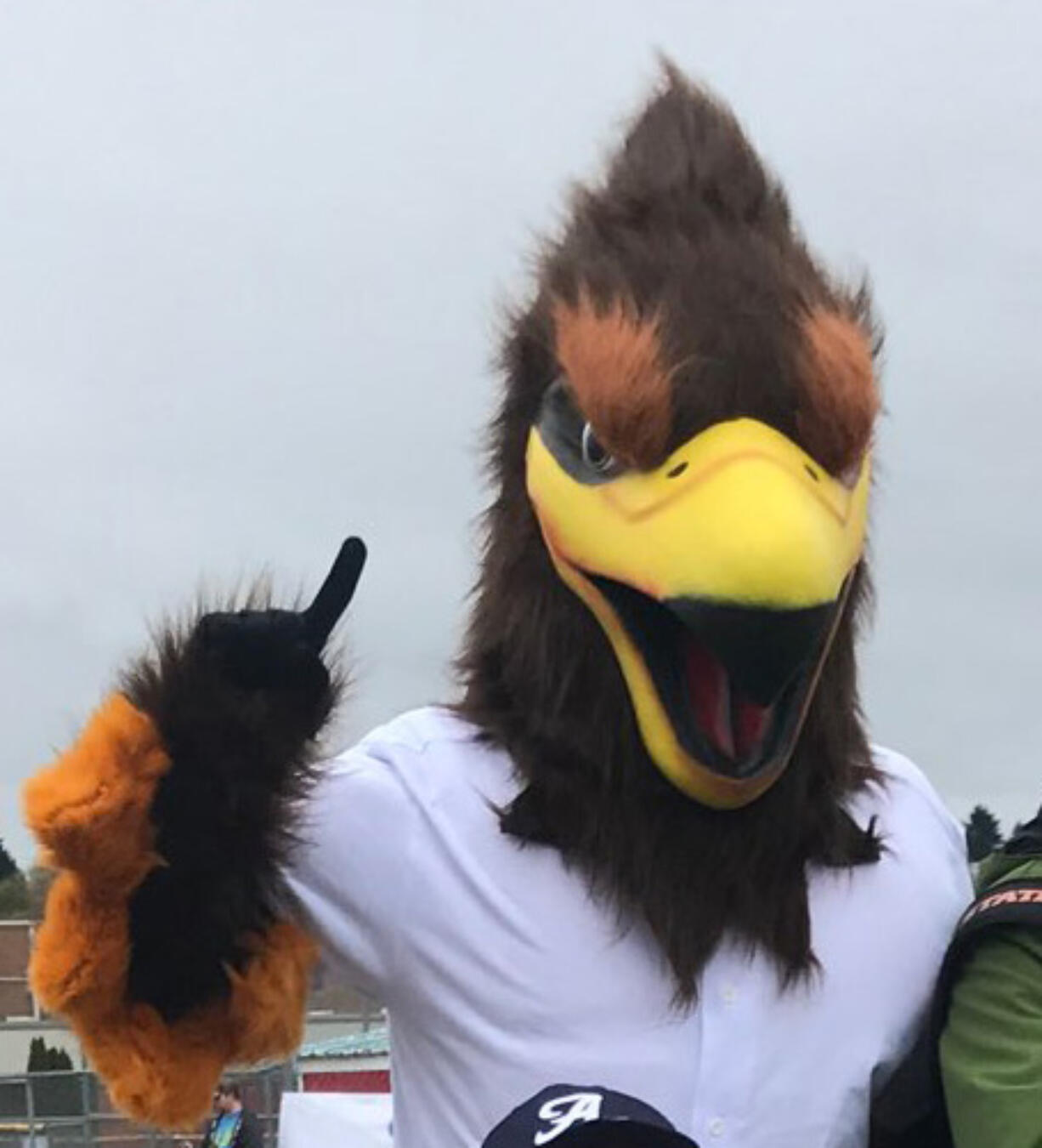 Ridgefield Raptors mascot Rally.