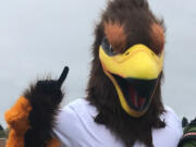 Ridgefield Raptors mascot Rally.