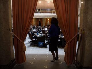 Gallery: Rep. Monica Stonier in Olympia photo gallery