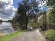 Water covers a portion of the Salmon Creek Greenway Trail on Friday afternoon a couple of hundred yards east of Northwest 36th Avenue.