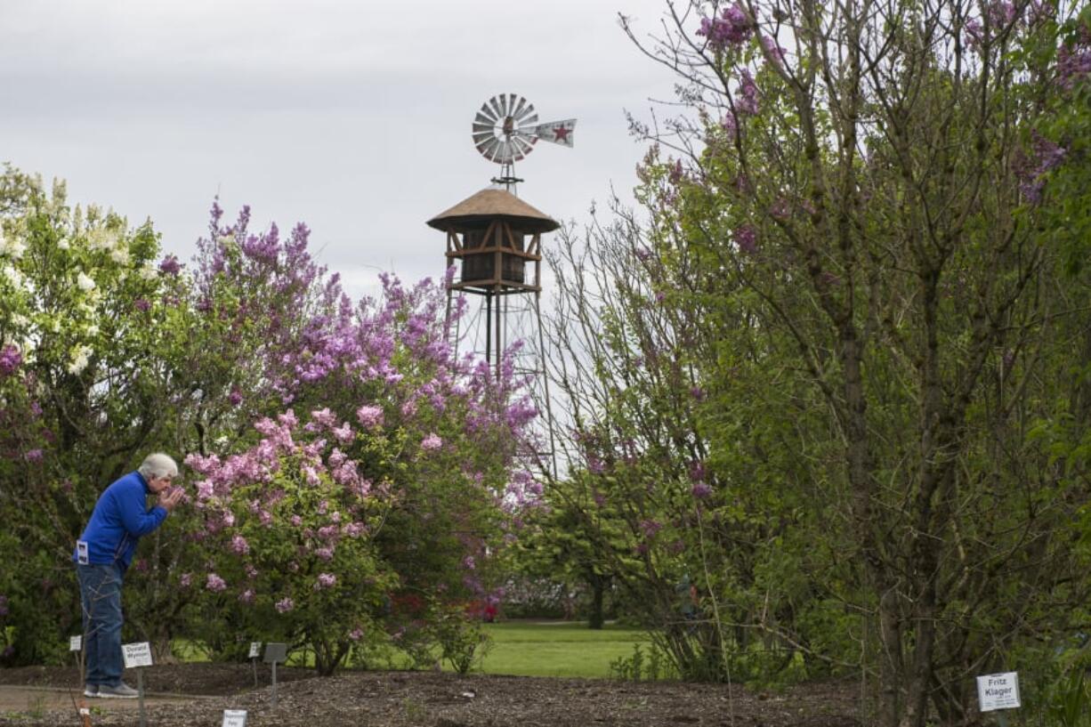 Ed Leinenkugel of Astoria stops to smell the lilacs Monday while exploring the Hulda Klager Lilac Gardens in Woodland.