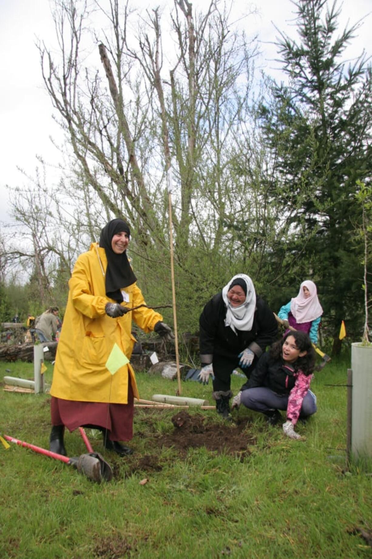 Salmon Creek: Volunteers at Earth Day Fest planted 1,085 trees, pulled garlic mustard and picked up trash all to help restore critical habitat for migratory salmon.