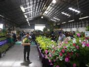 People explore the plant sale at the Home & Garden Idea Fair at the Clark County Event Center at the Fairgrounds. The annual event is presented by Clark Public Utilities.