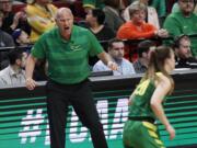 Oregon head coach Kelly Graves, left, shouts instructions to his team during the first half of a regional final against Mississippi State on Sunday in Portland. Graves led Oregon to its first Final Four, where the Ducks will join women’s basketball dynasties in UConn, Baylor and Notre Dame.