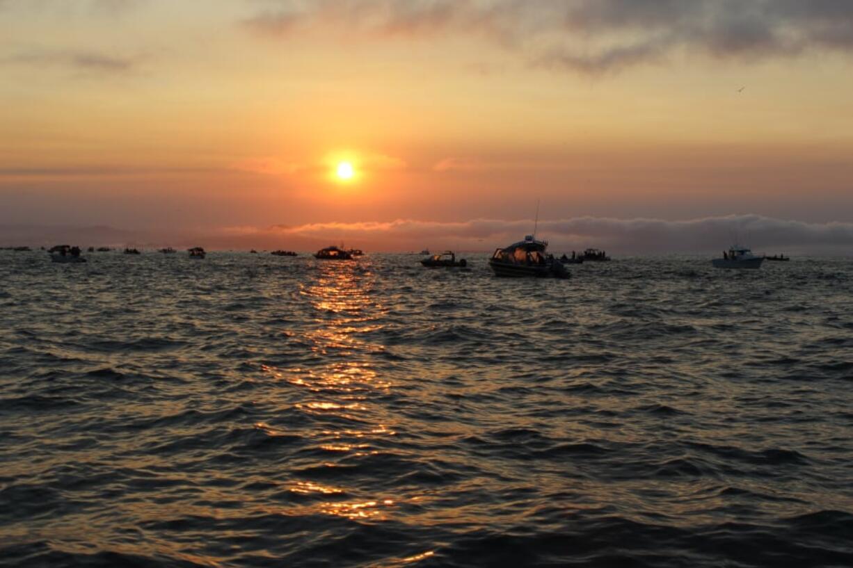 Anglers will no longer need the Columbia River Endorsement in order to fish the Columbia River and its tributaries for salmon starting July 1. In a move that was seen as a rebuke to the WDFW, the Washington State legislature refused to renew the endorsement.