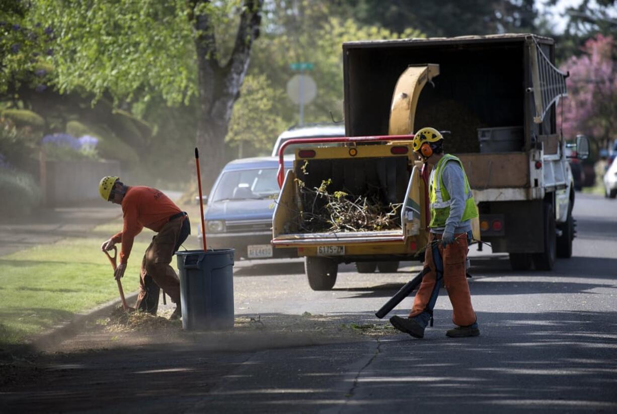 Matt Buttrell of Arborscape Tree Care, left, joins colleague Eulices Ibarra as they help prepare for future road preservation work on April 25 in Vancouver’s Rose Village neighborhood.