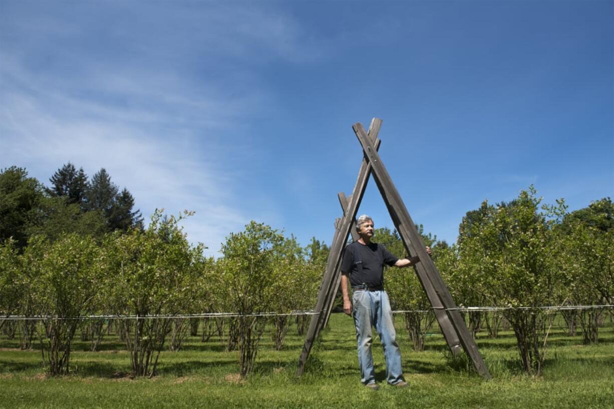 George Brereton started Gifts of the Planet Farm in 2007 after retiring from a career as a ship captain in Alaska. At 2 acres, his farm is small but produces about 10,000 pounds of fruit a year, he said. However, he concedes he doesn’t turn a profit. “I’ve only made a profit one year and that’s when I took a couple trees off the top of my hill up there and sold them,” he said.