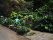 Victorious gardener Laura Heldreth likes to call her small, street-side veggie patches “victory gardens,” just as many residential gardeners did during World War II. Learn how she does it Saturday at the Washougal Community Library.