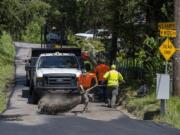 Darrell Young, a heavy-equipment operator for Clark County Public Works, center, helps spread sand over a newly paved section of Northeast Lakin Road to decrease the tackiness of the surface near Hockinson.