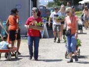 Lura Morrow, left, of Battle Ground and Sharon Handlos, right, of Brush Prairie carry plants they selected at the Master Gardener Foundation of Clark County Mother’s Day Weekend Plant Sale.