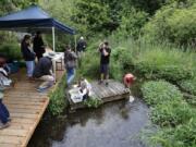 Examining the aquatic life in the stream at Columbia Springs was one of many activities offered as part of the nonprofit’s first Family Nature Day of the season.