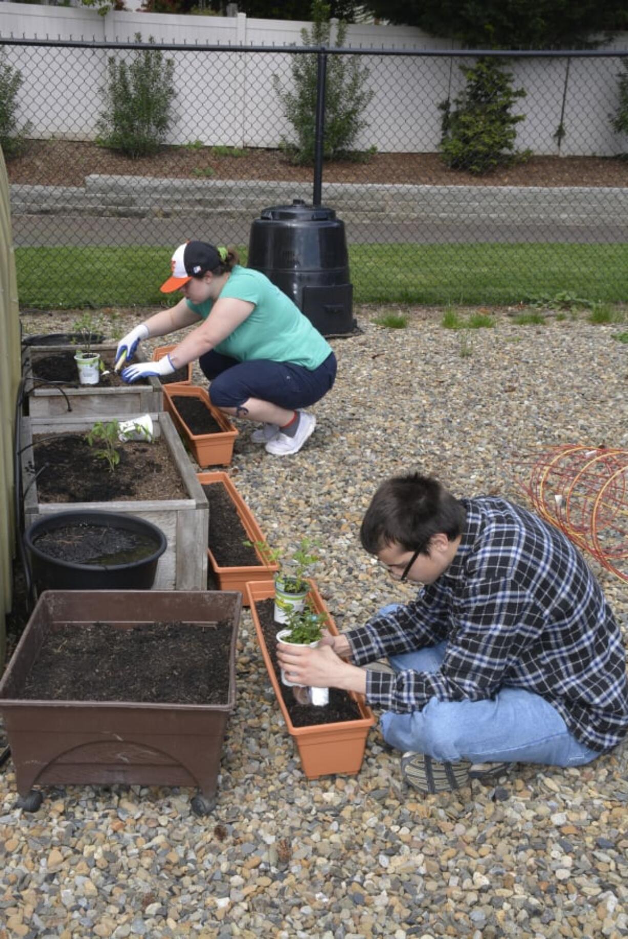 East County: Washougal Adult Transition Program students Nova Delp and Gloria Piele help replenish garden beds through a project by the Community Garden Club of Camas Washougal, called Garden to Table.