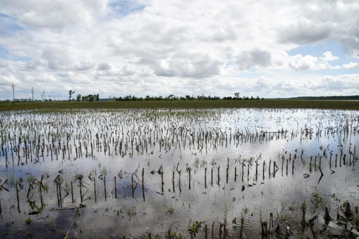 In this May 29, 2019 photo, a field is flooded by waters from the Missouri River, in Bellevue, Neb. Thousands of Midwest farmers are trying to make decisions as they endure a spring like no other. It started with a continuation of poor prices for corn and soybeans that fell even further as tariffs imposed by the U.S. and China ratcheted higher. Next came flooding from melting snow followed by day after day of torrential rains that made planting impossible or flooded fields where plants were just starting to emerge.