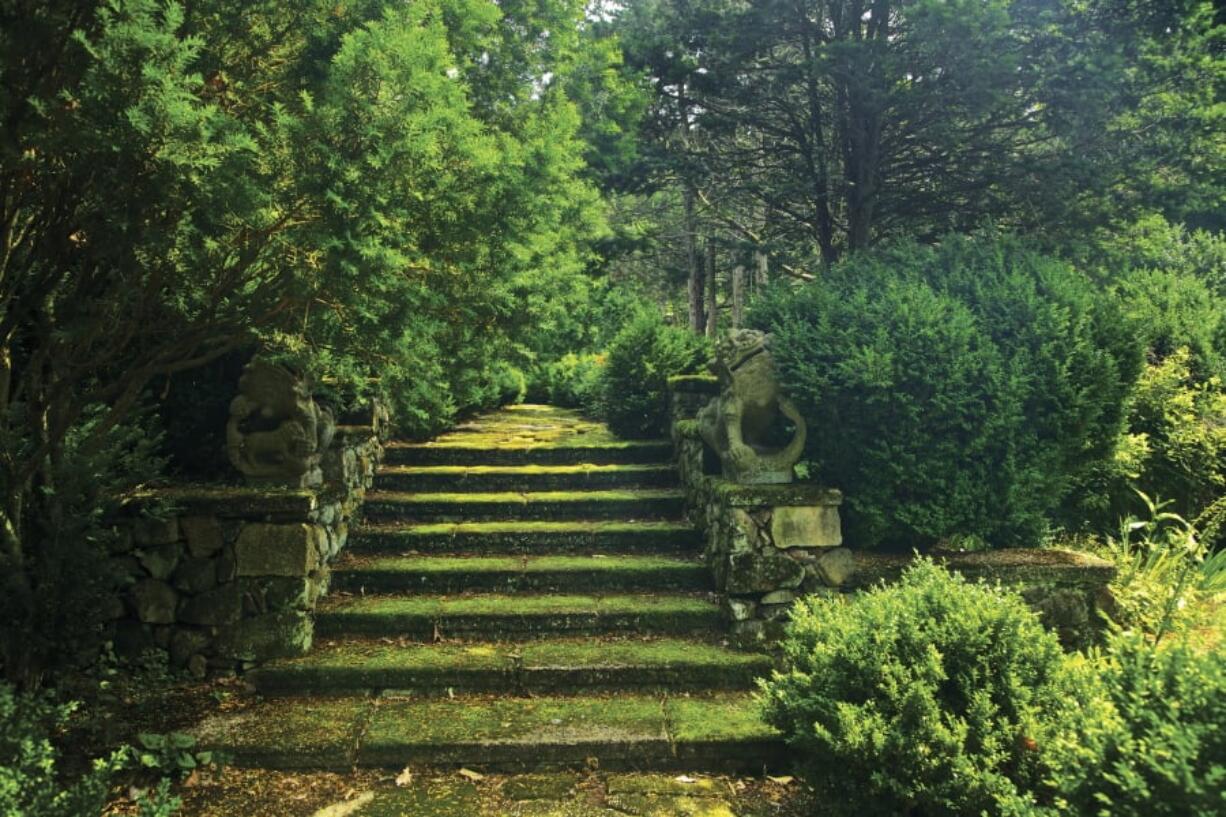 Moss-covered steps in Greenwood Gardens, Short Hills, N.J.