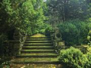 Moss-covered steps in Greenwood Gardens, Short Hills, N.J.